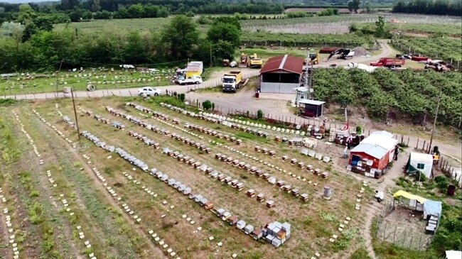 Servet değerinde: Gramı 8, kilosu 8 bin TL 11