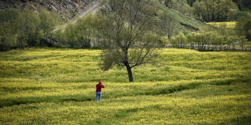 Gümüşhane’de bu manzara yılda sadece 15 gün görülüyor