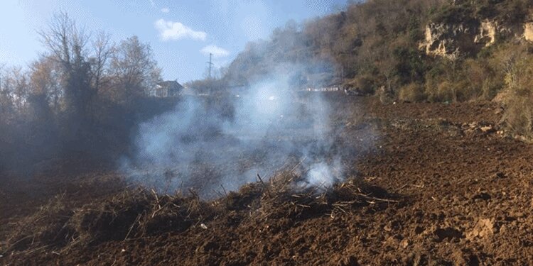 Trabzon'da fındıklıkları söküp yaktılar! Sebebi ise...