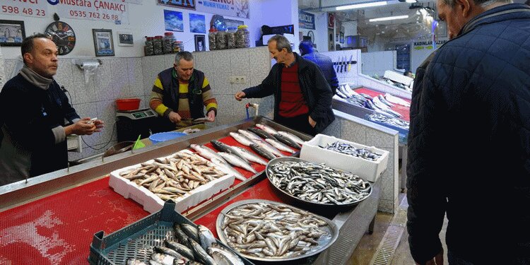 Trabzon'da hamsi kayboldu!