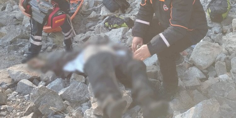 Artvin'de kayalıklardan düşen çoban feci şekilde...