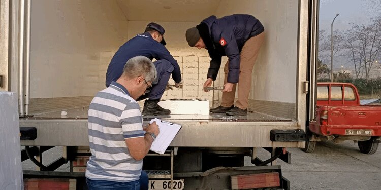 Rize'de 10 ton balığa el konuldu! 