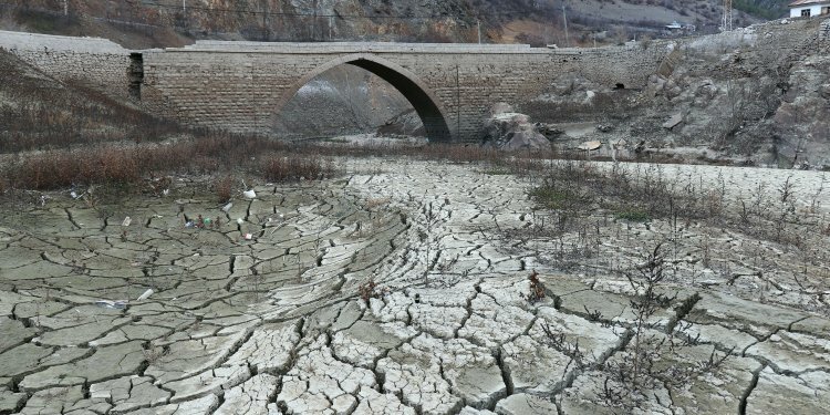 Baraj gölünde korkutan görüntü!