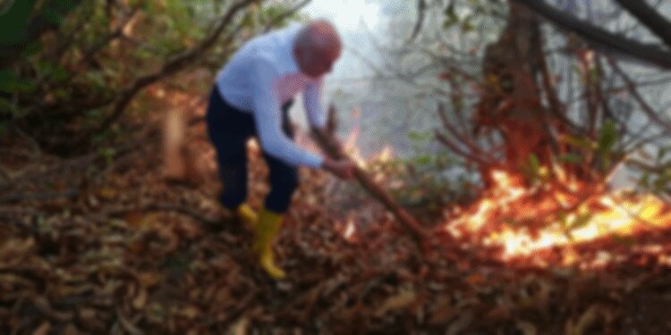 Giresun da yanmaya başladı!