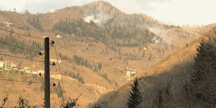 Valilik açıkladı! Trabzon'daki yangınların sebebi...