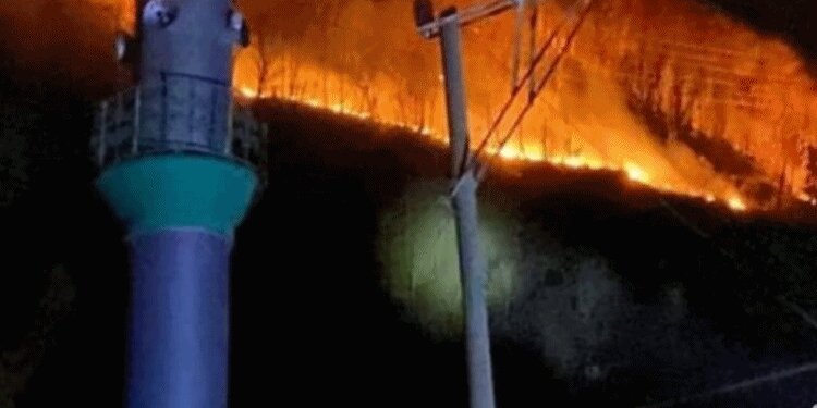 Artvin de yandı! 4 hektarlık alan kül oldu