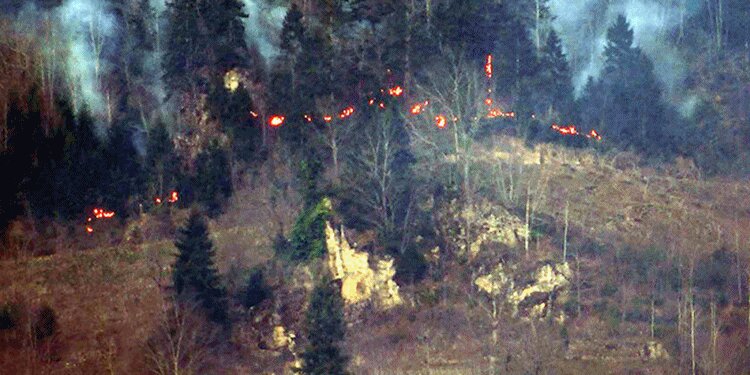 Trabzon'daki yangınların bilançosu açıklandı!