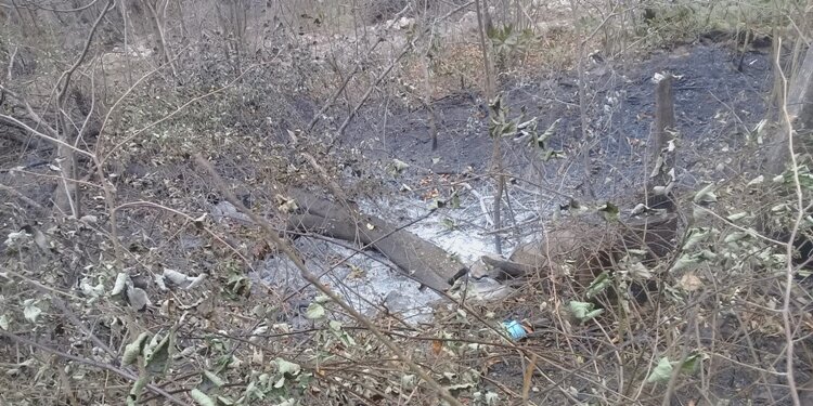 Ordu'daki yangınlarda ağır kayıplar!