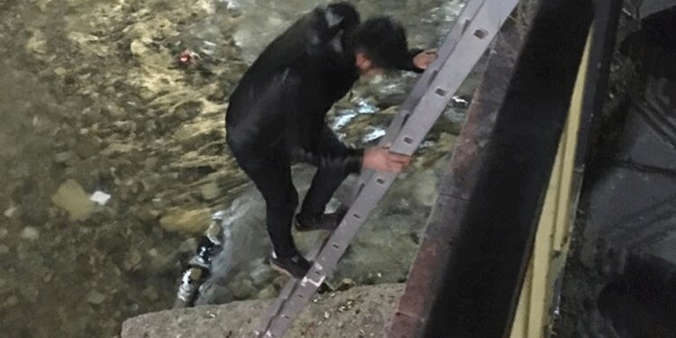 Köprüde mahsur kalmıştı, böyle kurtarıldı!