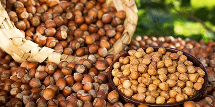 Fındığı kalanlara 2020 müjdesi! Fındık fiyatları