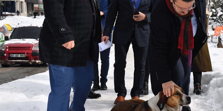 Trabzon'da minik dostlar için her gün mama bırakılıyor! 