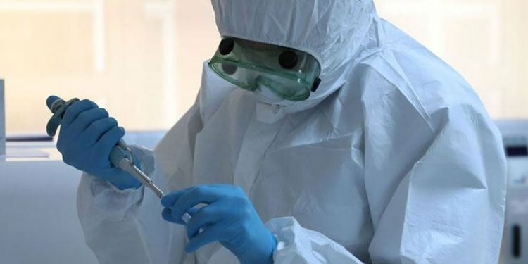 Koronavirüsün yapısı çözüldü