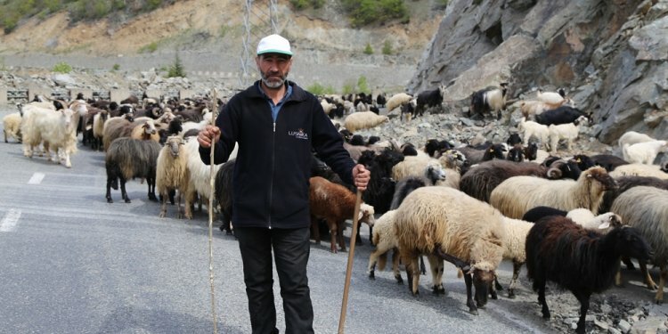 Artvin’de göç başladı
