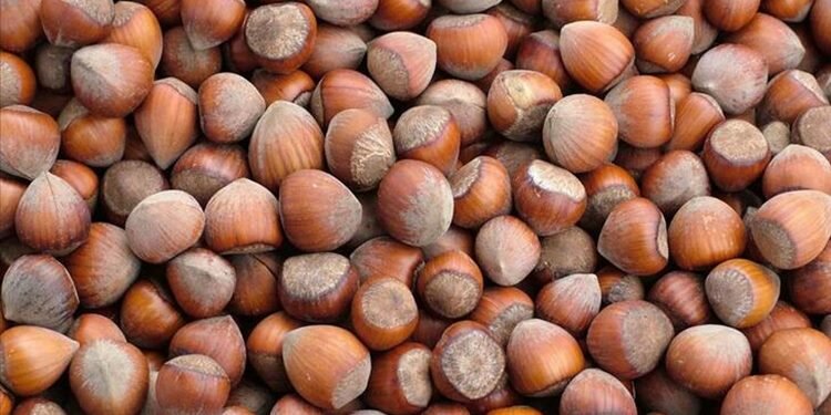 TMO, satışa devam ediyor! Mayıs ayında...