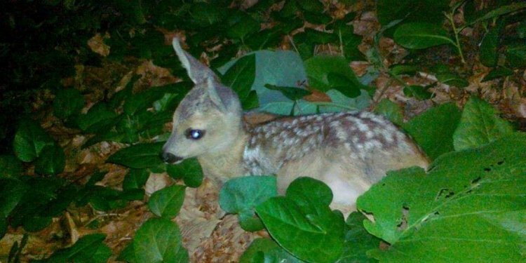 Uyarı yapıldı: Dokunmayın, bulunduğu yerden uzaklaşın