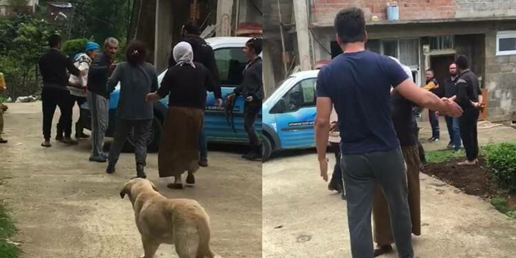 Rize'de yavru köpeklere bakan kadın saldırıya uğradı!