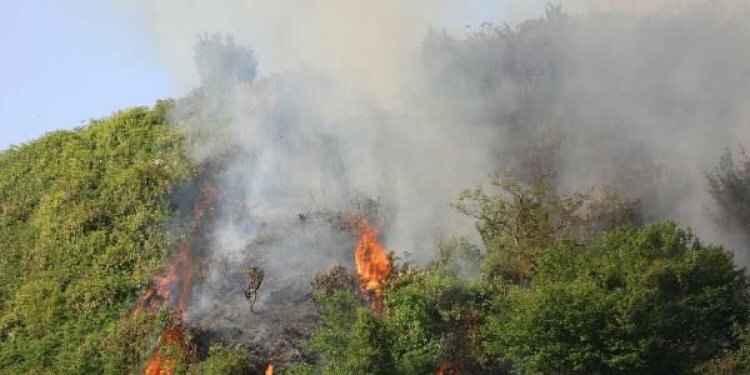Rize'de orman yangını! Müdahale edilemiyor...