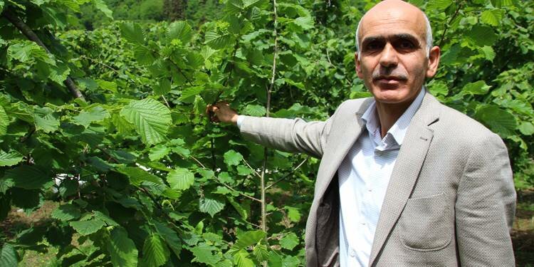 Fındık üreticilerini savundu, ihracatçılara ayar verdi!