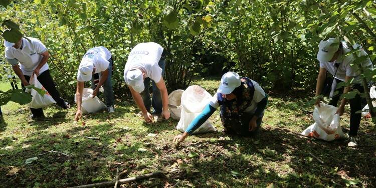 Fındıkta yeni dönem!