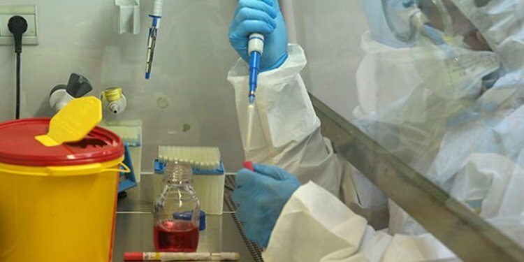 Korona virüsten en çok etkilenen kan grubu belli oldu