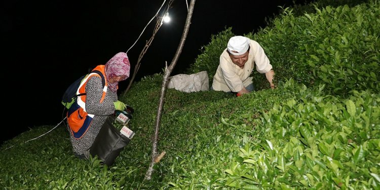 Sıcak ve nemden bunalan Rizeliler çareyi böyle buldu