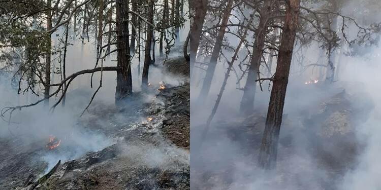 Artvin'de düşen yıldırım orman yangını başlattı!