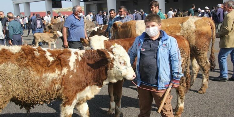 Kurban tedbirlerine uymayanlara uygulanacak ceza belli oldu