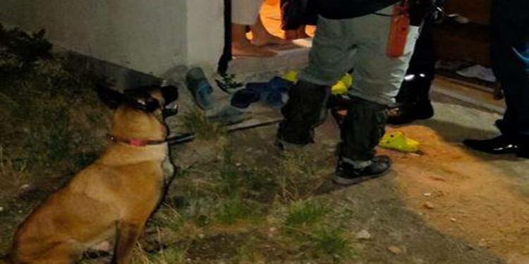 Trabzon'da kaybolan hastayı, 