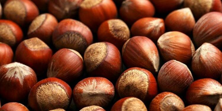 Fındık fiyatları yükselişini sürdürüyor!