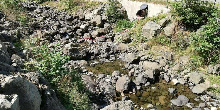 Trabzon'da kuraklık baş gösterdi!