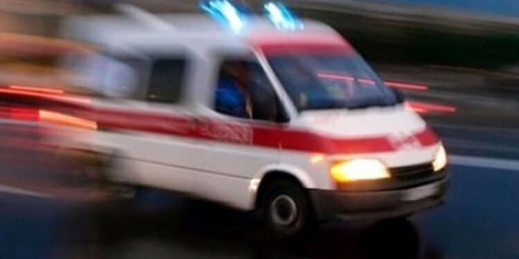 Trabzon'da çocuğun üzerine ağaç devrildi!