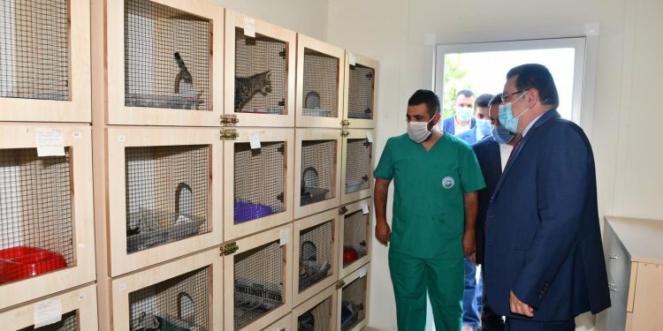 Trabzon'da minik dostlar ehil ellere emanet!