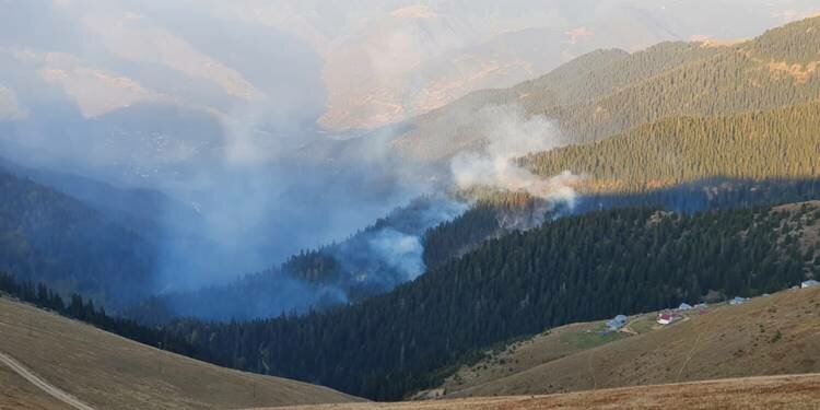 Gümüşhane'de orman yangını!
