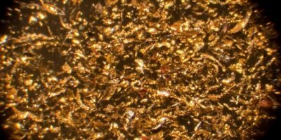 Bakteriler kimyasal atıkları altına dönüştürdü