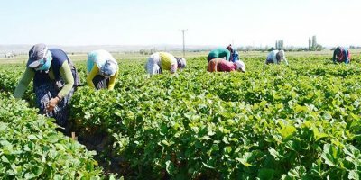 Ekrem İmamoğlu'ndan çok anlamlı uygulama!