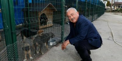 Ordu'ya Karadeniz'in en büyük hayvan hastanesi!