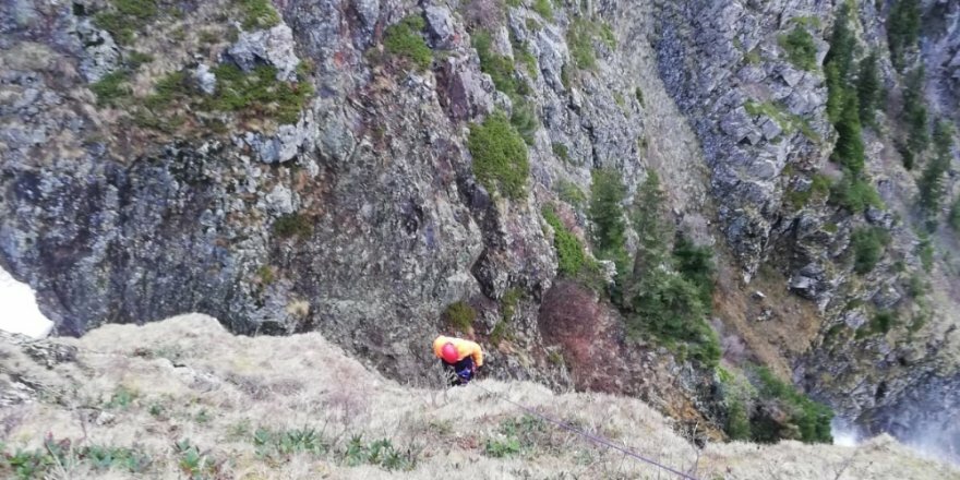 Uçurumdan yuvarlanan gazeteci aranıyor